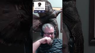 Has Nesting Success Changed Over Time?