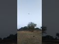 DIY drone using KK2.1 flight controller