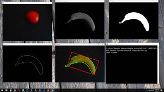 EEL 4660 Final Project Demo