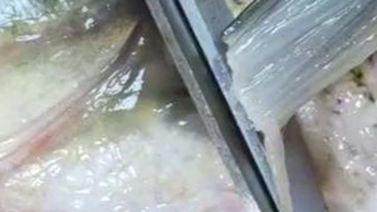 五花肉别总是炒着吃了，教你一个新吃法，软烂入味，比红烧肉过瘾