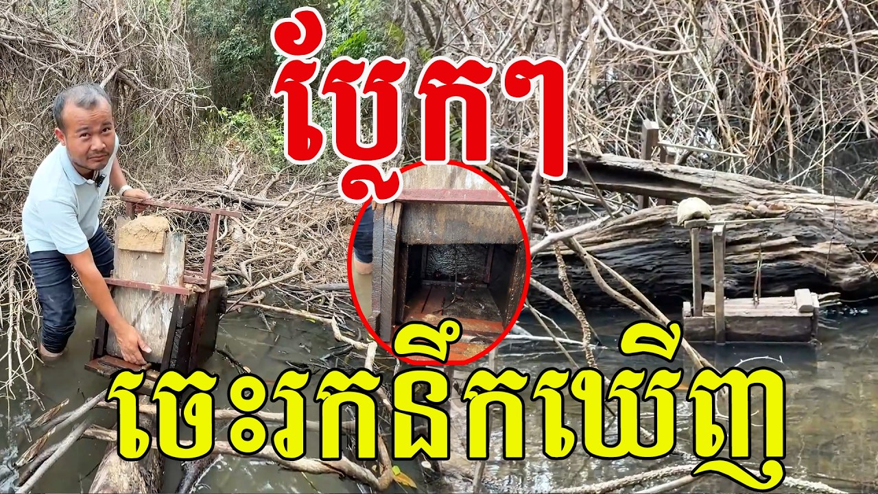 ប្លែកៗ ចេះរកនឹកឃើញ មួយៗមែនតែចូលធំៗណាស់