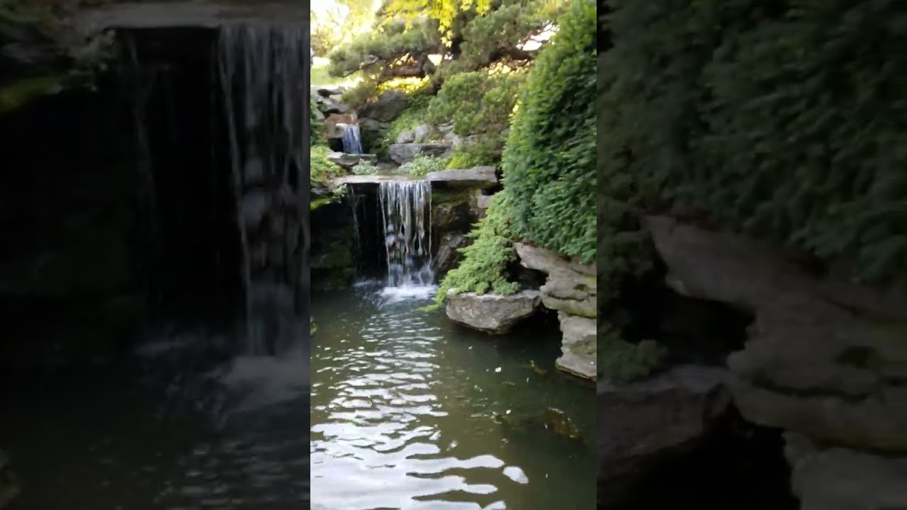 Japanese Garden Pond 