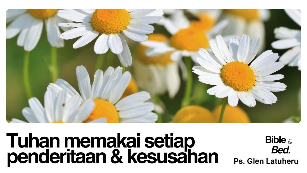 Renungan Malam (Jumat 20 Febr 26) 