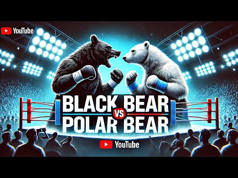Epic War! Black Bear vs Polar Bear – A Fight for Survival!