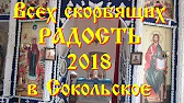 Николай Кокурин