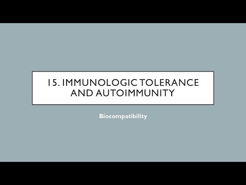 Video: Cellule B In Autoimmunità