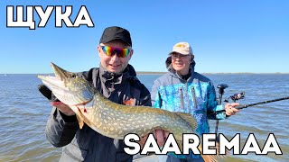 видео: Ловим щуку на море. Почти вся щука с икрой. Две ночи на острове Saaremaa. Тестируем приманки. картинка: Ловим щуку на море. Почти вся щука с икрой. Две ночи на острове Saaremaa. Тестируем приманки.