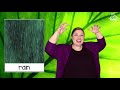 All About Plants: ASL Informational Videotext