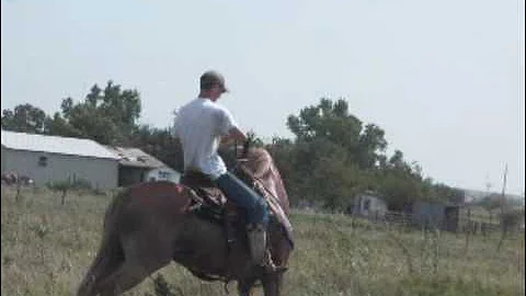 Leo's first ride in 4 years