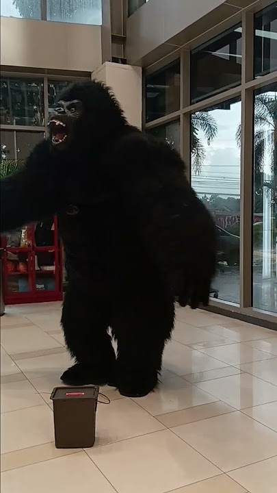 KING KONG ON THE GO   #kingkong  #newmusic #dancehall
