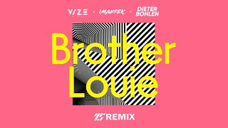 VIZE - Brother Louie | REMIX