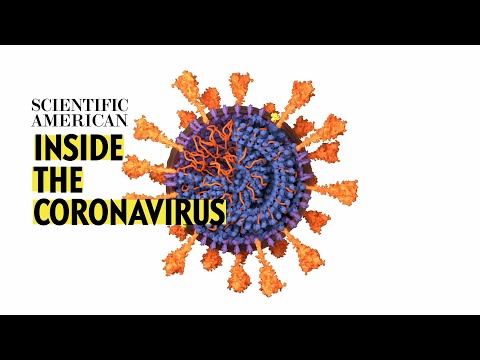 Geek out session: Coronavirus--how It infects us and how we might stop it