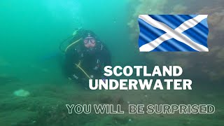 Come Explore Scotland And See What Surprises Await You Beneath The Waves!