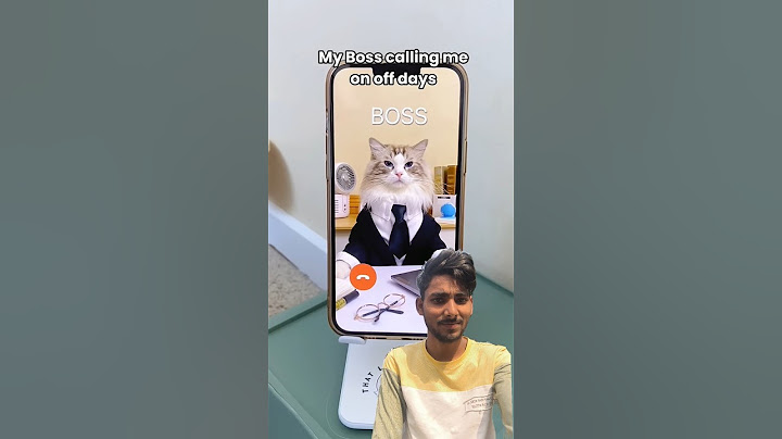 Puff's guide on handling weekend calls from the boss!#cat #animals #shorts