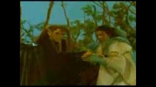 霹靂布袋戲 - 愛你的是我 MV - 荒山亮 / 蔡佳瑩