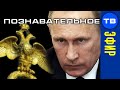 Куда ведёт страну многоликий Путин? Прямой эфир 8 июля 2020 (Познавательное ТВ, Артём Войтенков)