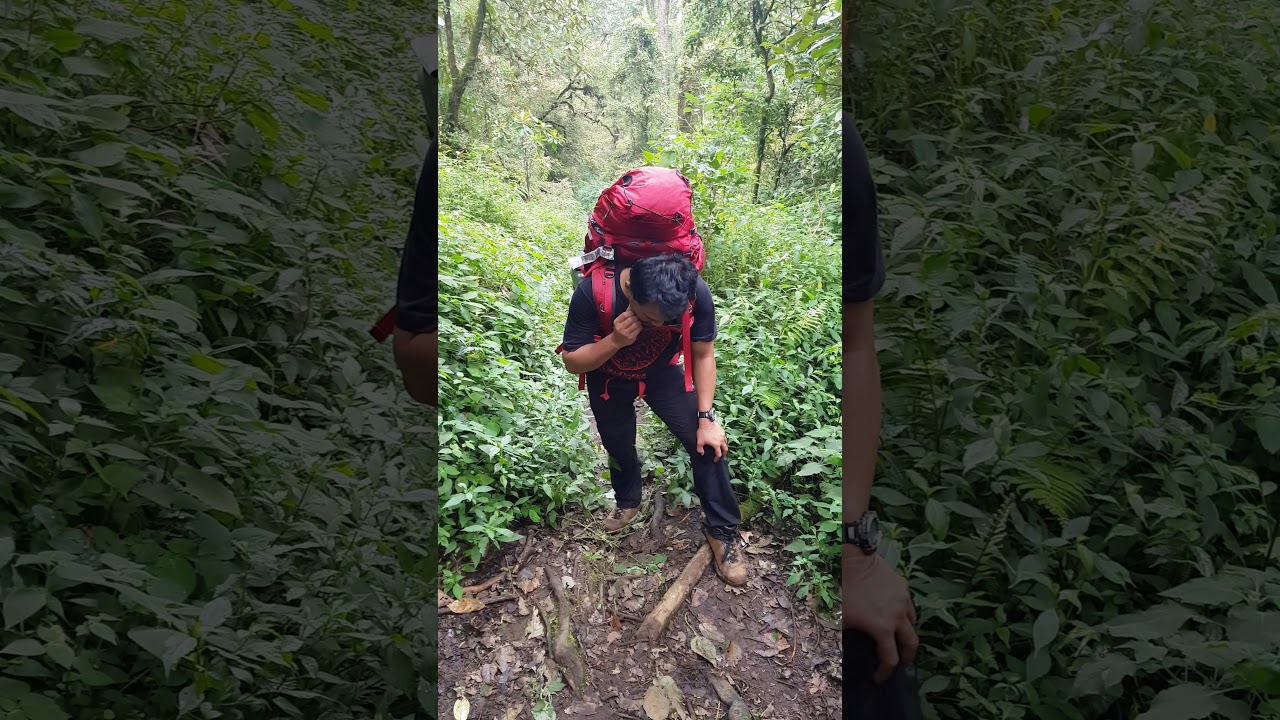 Pendakian Arjuno-Welirang via Cangar