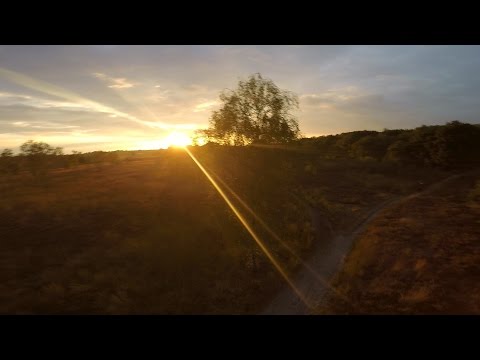 Autumn Evenings