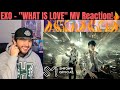 EXO - "WHAT IS LOVE" MV Reaction! (Vocals are STOOPID)