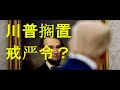 令人错愕！白宫商讨戒严令？特朗普说是假消息。向最高法院提起更多诉讼，主攻宾州