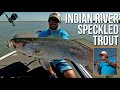 Indian River Speckled Trout