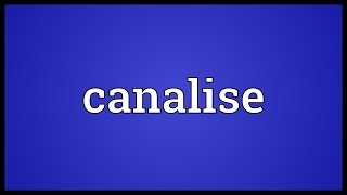 Canalise Meaning