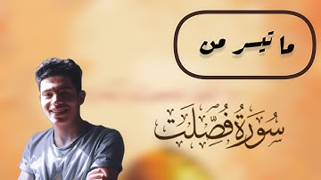 🔴تلاوة مريحه | سورة فصلت | القارئ محمد أيمن أبوسته