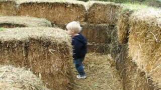 Straw Bale Maze