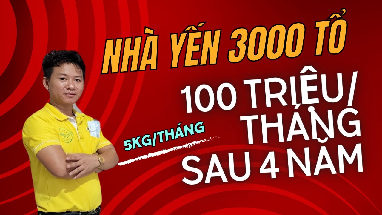 Nuôi Yến Trong Nhà 100 Triệu/ Tháng - Nhà Yến Thành Công 3000 tổ, 5kg/Tháng sau 4 năm tại Đồng Tháp