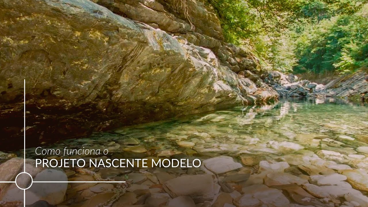 Como funciona o Projeto Nascente Modelo
