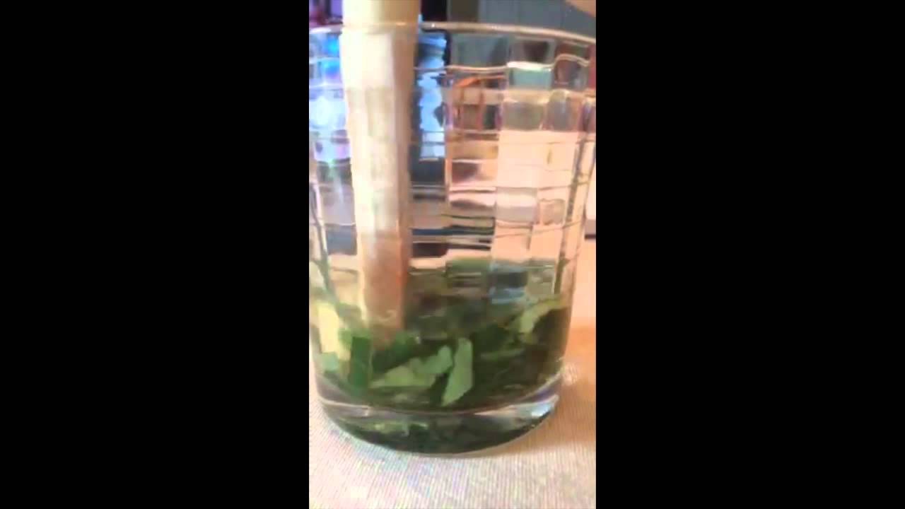 Chromatography at Home YouTube