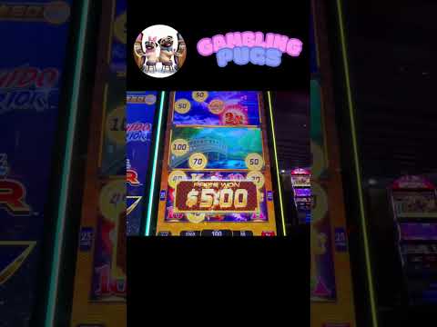Qu'est-ce que l'Achat de Bonus (Bonus Buy) ?