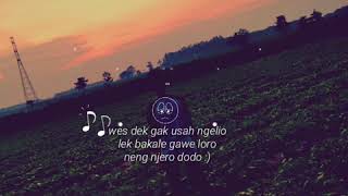 Download Lagu story wa ada sayang ada.... MP3