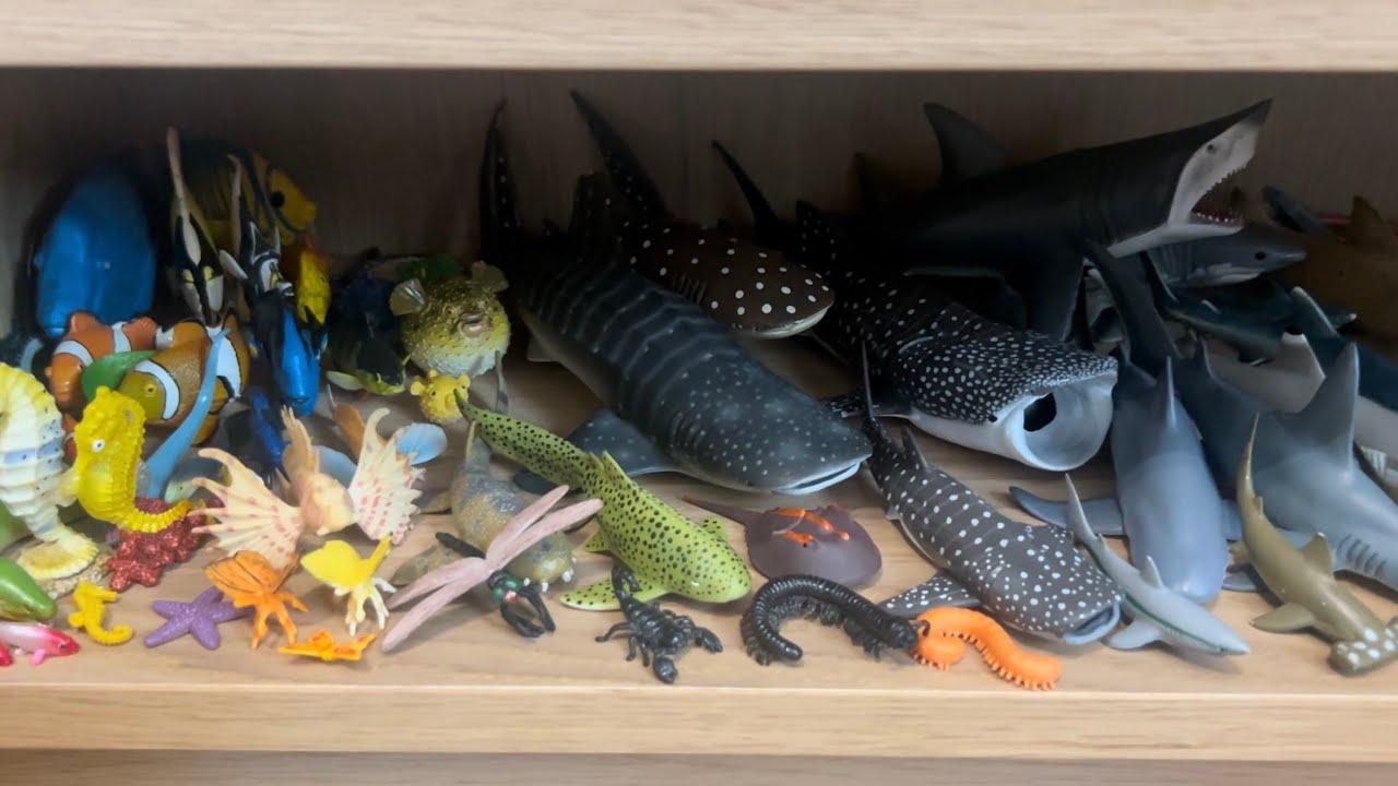 My Animal Figure Collection: Pt 8 - Fishes & Invertebrates