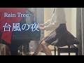 【Rain Tree】「台風の夜」を弾いてみました。
