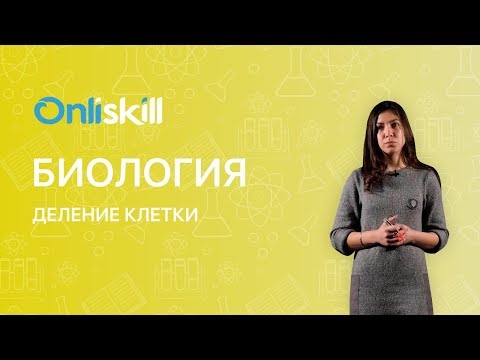 Деление клетки видеоурок 6 класс