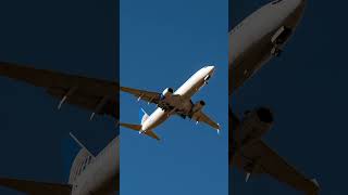 POV Taking Photos | United 737-800 | DEN