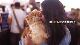 India's largest Cat Community by The Feline Club of India 2,189 views 3 years ago 27 seconds