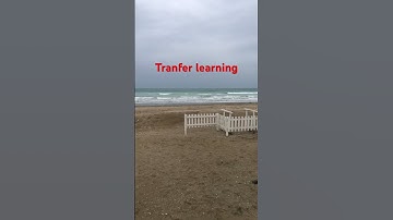 AI transfer learning