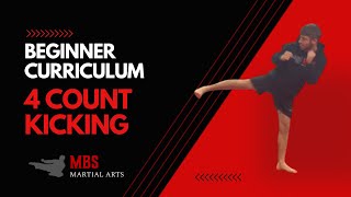4 Count Kicking | Beginner Curriculum