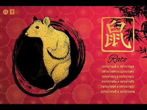 Vídeo: Horóscopo De Compatibilidade Oriental: Boi E Rato
