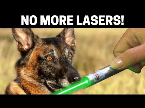 cesar millan laser pointer