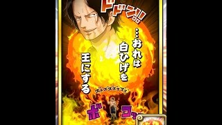 One Piece サウザンドストーム エースの新必殺技 炎戒 がかっこよすぎる イリイリmix