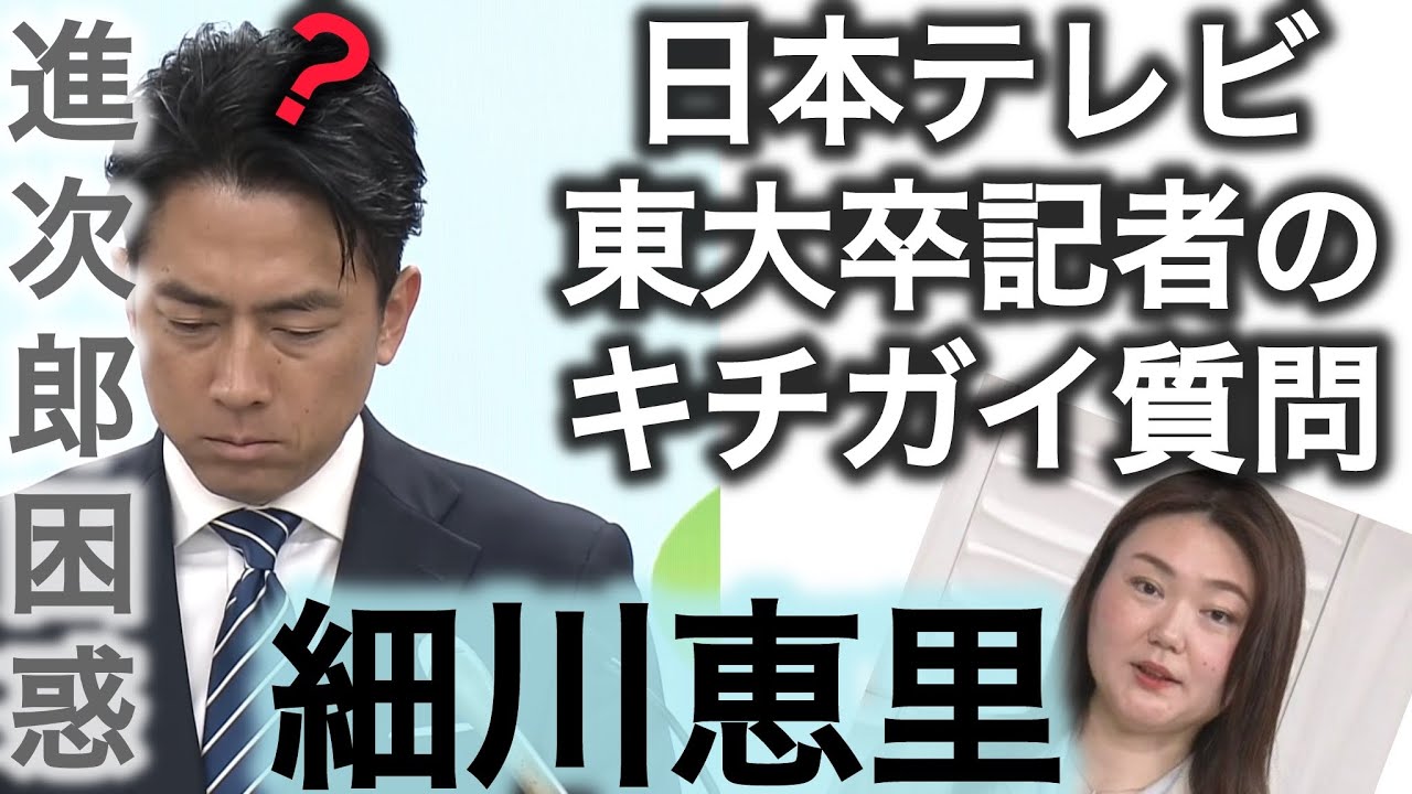 外国の代弁者 日本テレビ細川恵里(東大)