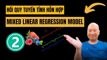 Hướng dẫn về hồi quy tuyến tính hỗn hợp - P2 | Mixed Linear Model TS.BS.Vũ Duy Kiên