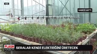 Seralar Kendi Elektriğini Üretecek