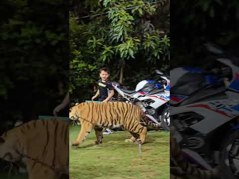 Naughty Kid Playing
