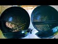 SLOW N SEAR EXPOSED!!/LOW AND SLOW/SLOW N SEAR TESTING COMPARISON/ MUST WATCH/