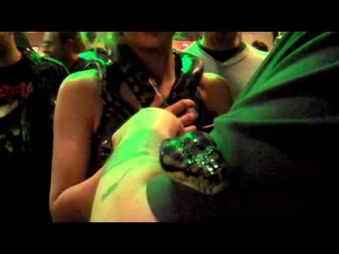 CARPET PYTHON WOMAN AT ALICE COOPER'S HALLOWEEN CONCERT ROUNDHOUSE LONDON 1ST NOVEMBER 2010