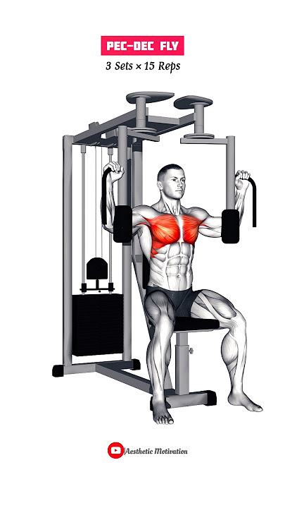 The Ultimate Chest Workout at Gym 🔥 #chestworkout